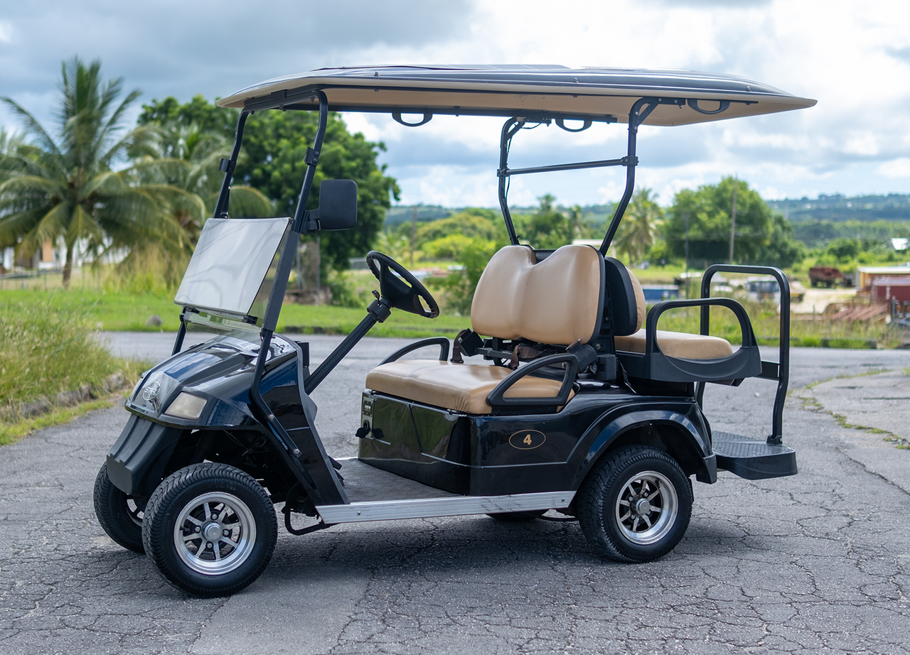 Cart 04: Star EV LSV