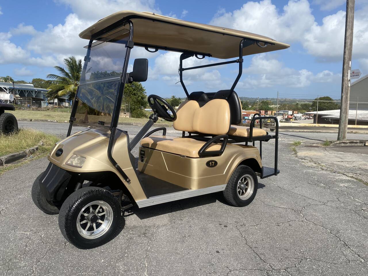 Cart 17: Star EV LSV